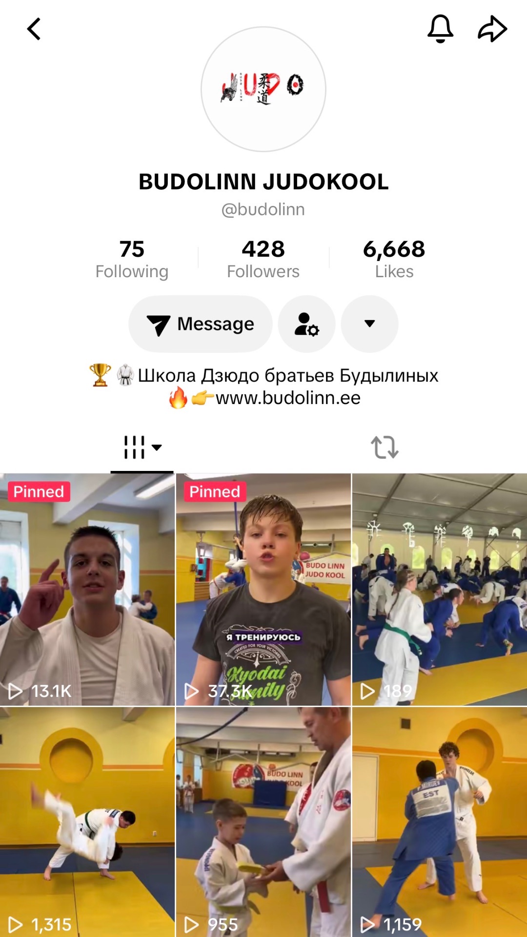 Budolinn Judokool